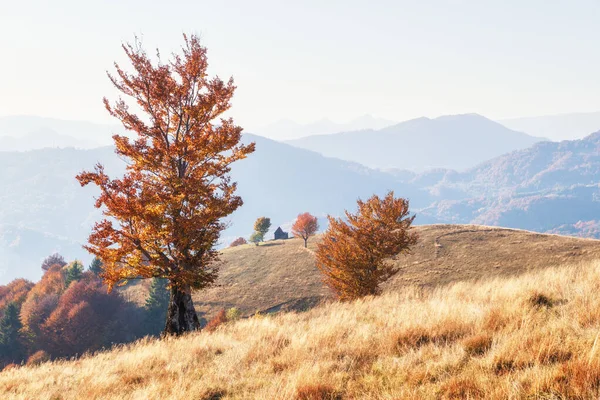 Pittoresco prato autunnale con casa in legno — Foto Stock