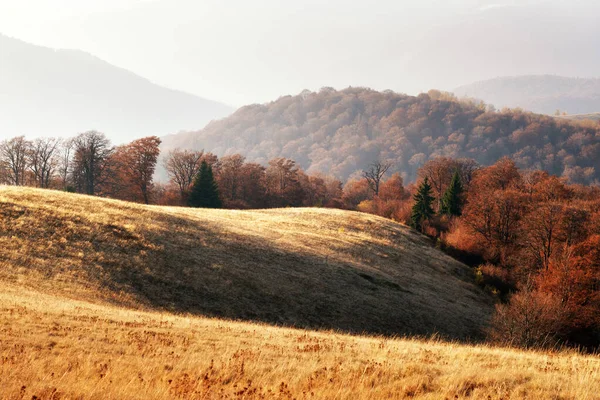 Picturesque autumn mountains with red beech forest — Stock Photo, Image