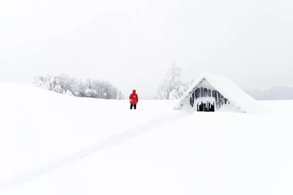 Paisaje minimalista de invierno con casa de madera —  Fotos de Stock