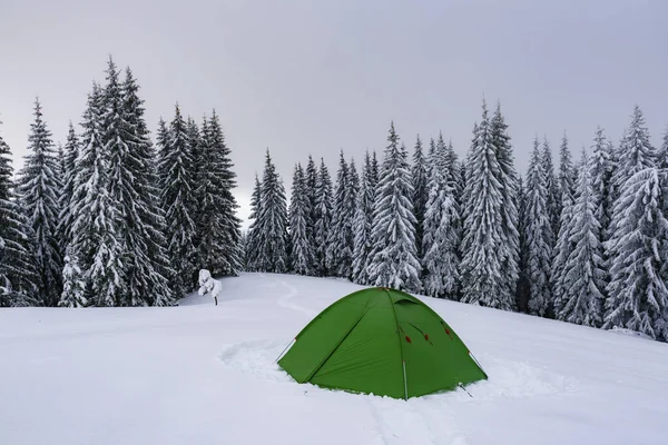 겨울 산에 녹색 텐트 — 스톡 사진