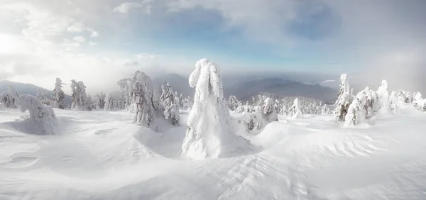 Fantástica paisagem de inverno — Fotografia de Stock