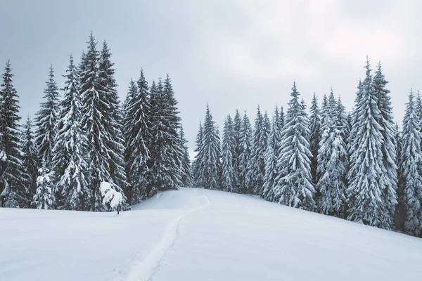 Fantastisch winterlandschap — Stockfoto