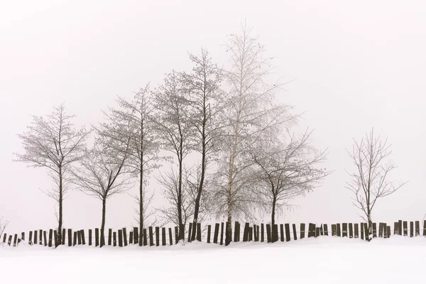 Minimalistische Winterlandschaft bei trübem Wetter — Stockfoto