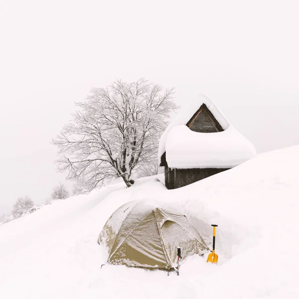 나무로 된 집이 있는 무미건조 한 겨울철 풍경 — 스톡 사진