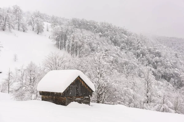 Paisaje minimalista de invierno con casa de madera — Foto de Stock