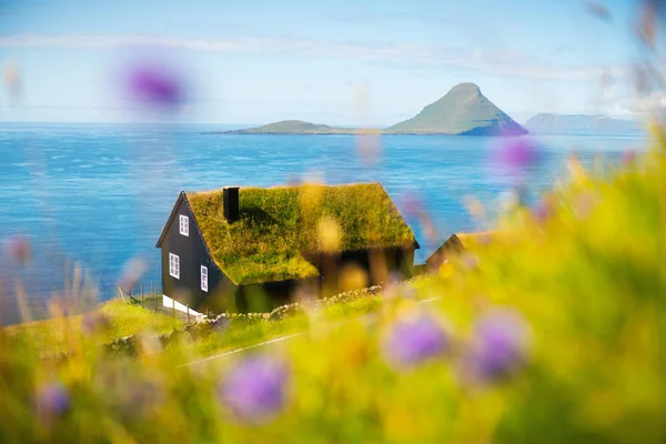 Foggy vue du matin d'une maison avec toit en herbe typique — Photo