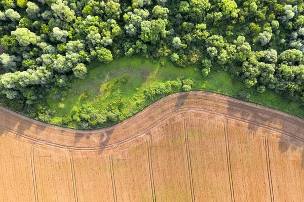 Sarı buğday tarlasında uçan hava fotoğrafı — Stok fotoğraf
