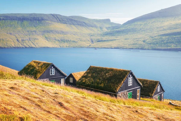 Живописный вид на фарерские дома, покрытые травой — стоковое фото
