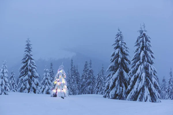 Vánoční stromek se světly — Stock fotografie