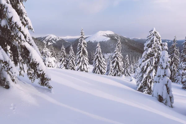 Fantástico paisaje de invierno —  Fotos de Stock