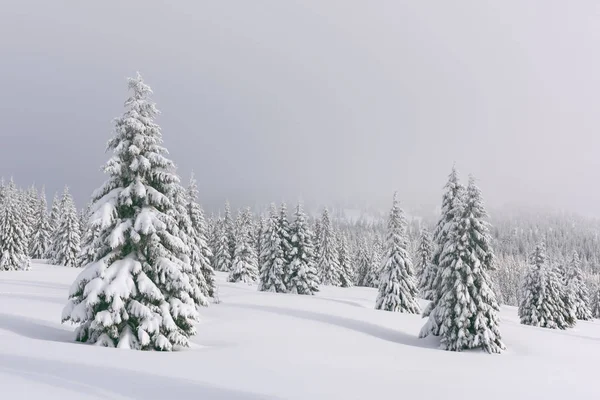 Fantastico paesaggio invernale — Foto Stock