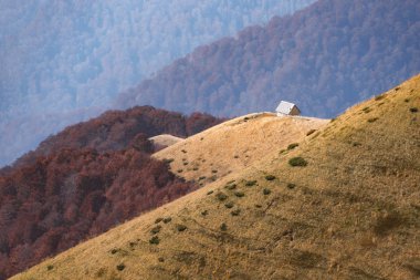 Ahşap evi olan resimli sonbahar çayırı