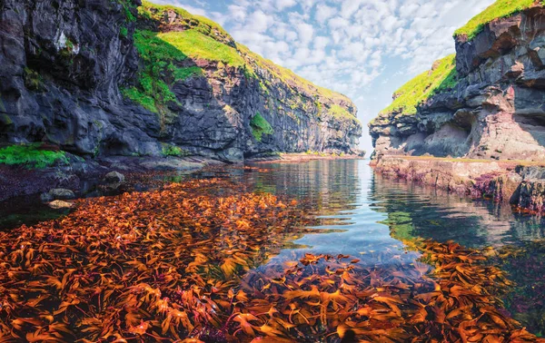 Όμορφη θέα της αποβάθρας με καθαρά νερά και κόκκινα φύκια — Φωτογραφία Αρχείου