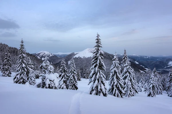 Fantastico paesaggio invernale — Foto Stock