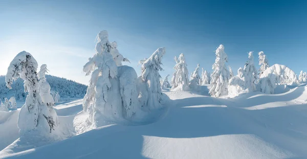 Fantastico paesaggio invernale — Foto Stock