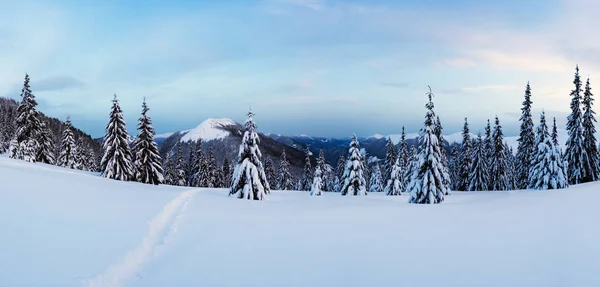 Fantastico paesaggio invernale — Foto Stock