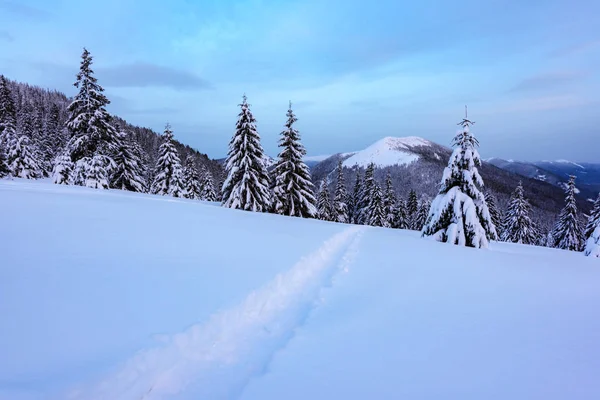 Fantastico paesaggio invernale — Foto Stock