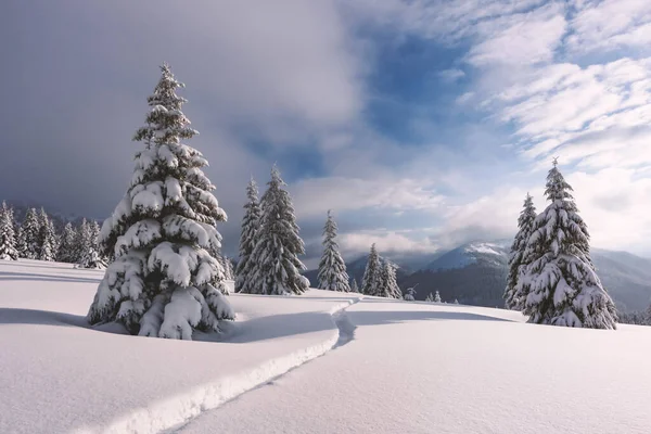 Paysage hivernal fantastique — Photo