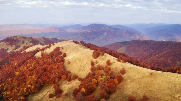 Herbstberge und Rotbuchenwald — Stockfoto