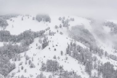 Muhteşem kış manzarası