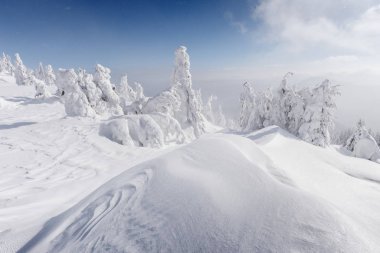 Muhteşem kış manzarası
