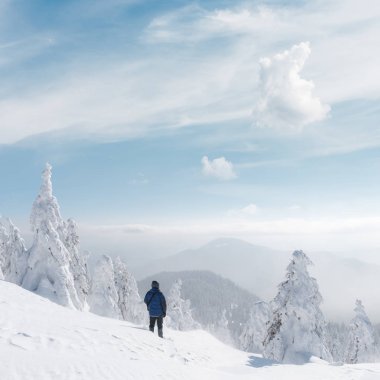 Bir sırt çantası ile yalnız turist