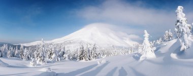 Muhteşem kış manzarası