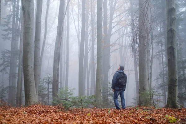 Man in het mysterieuze donkere beukenbos in mist — Stockfoto