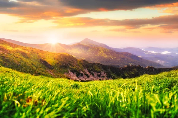 Summer mountain landscape in Carpathians — Stock Photo, Image