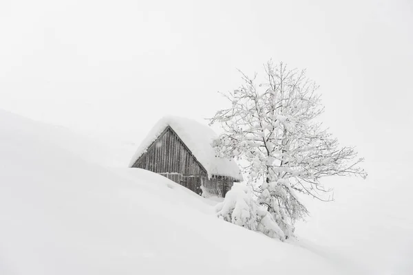 雪の家と幻想的な風景 — ストック写真