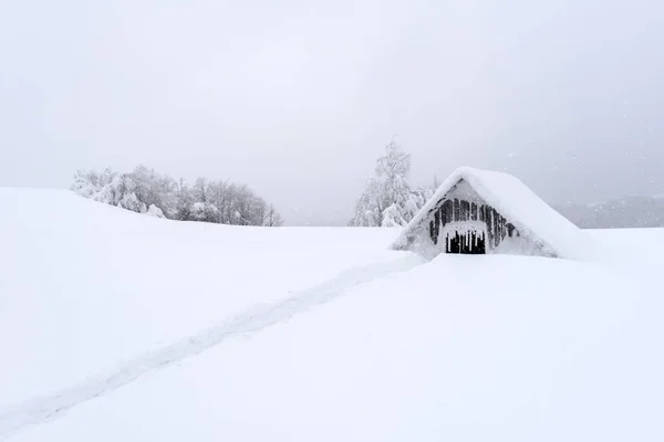 Fantastisch landschap met besneeuwd huis — Stockfoto