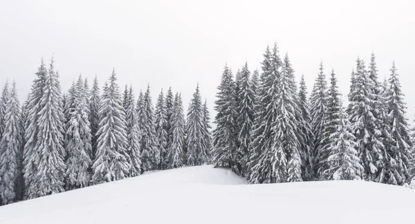 Fantastická zimní krajina — Stock fotografie