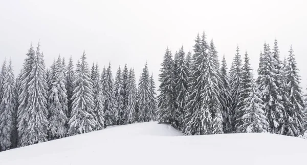 Fantastico paesaggio invernale — Foto Stock