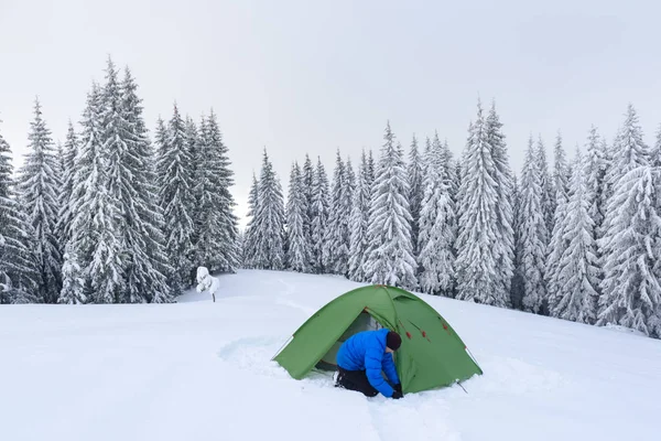 Tenda verde nas montanhas de inverno — Fotografia de Stock