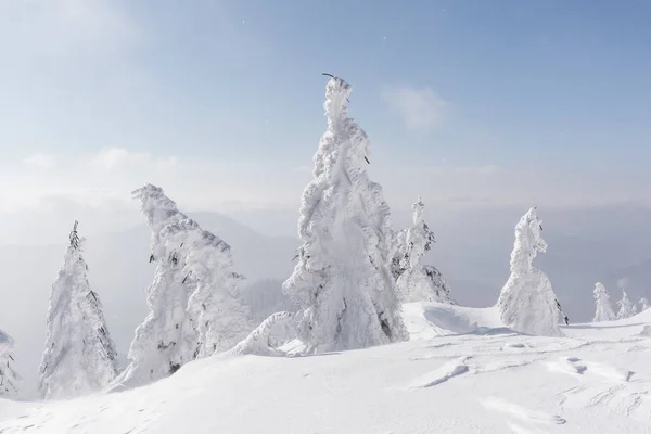 Fantástica paisagem de inverno — Fotografia de Stock