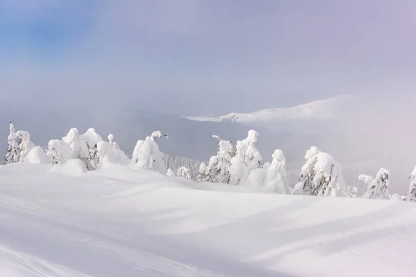 Fantastico paesaggio invernale — Foto Stock