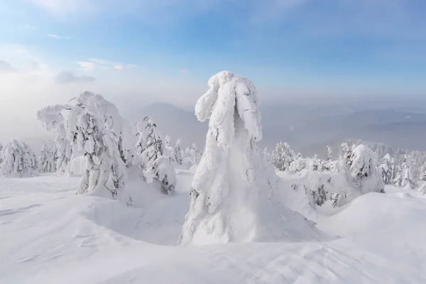 Fantastico paesaggio invernale — Foto Stock