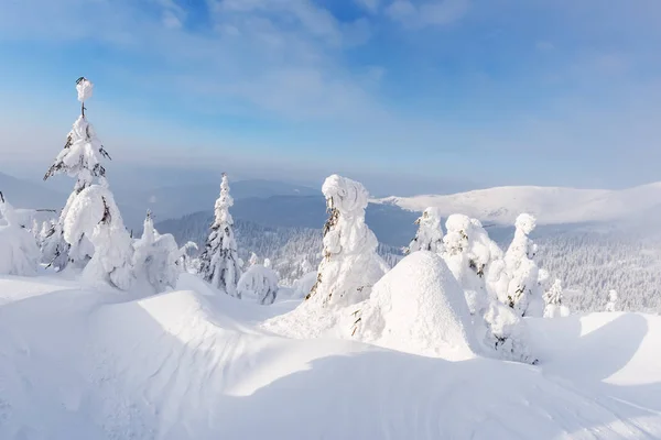 Fantástica paisagem de inverno — Fotografia de Stock