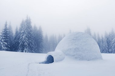 Kış dağlarında gerçek bir eskimo evi.