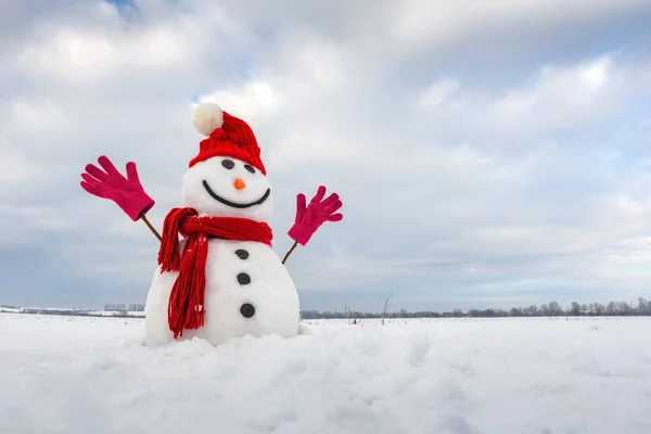 Muñeco de nieve divertido en elegante sombrero rojo y cuero cabelludo rojo — Foto de Stock