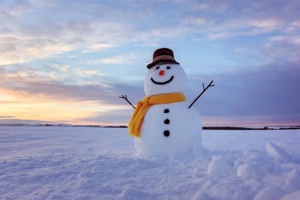 Rolig snögubbe i svart hatt — Stockfoto