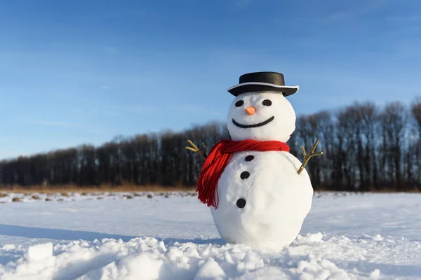 Divertente pupazzo di neve in cappello nero — Foto Stock