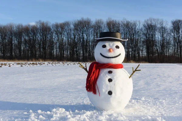 Muñeco de nieve divertido en sombrero negro —  Fotos de Stock