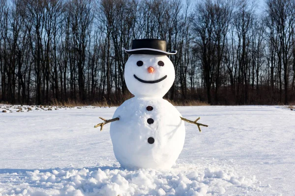 黒い帽子の面白い雪だるま — ストック写真