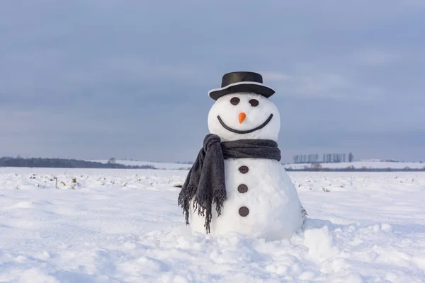 Rolig snögubbe i svart hatt — Stockfoto