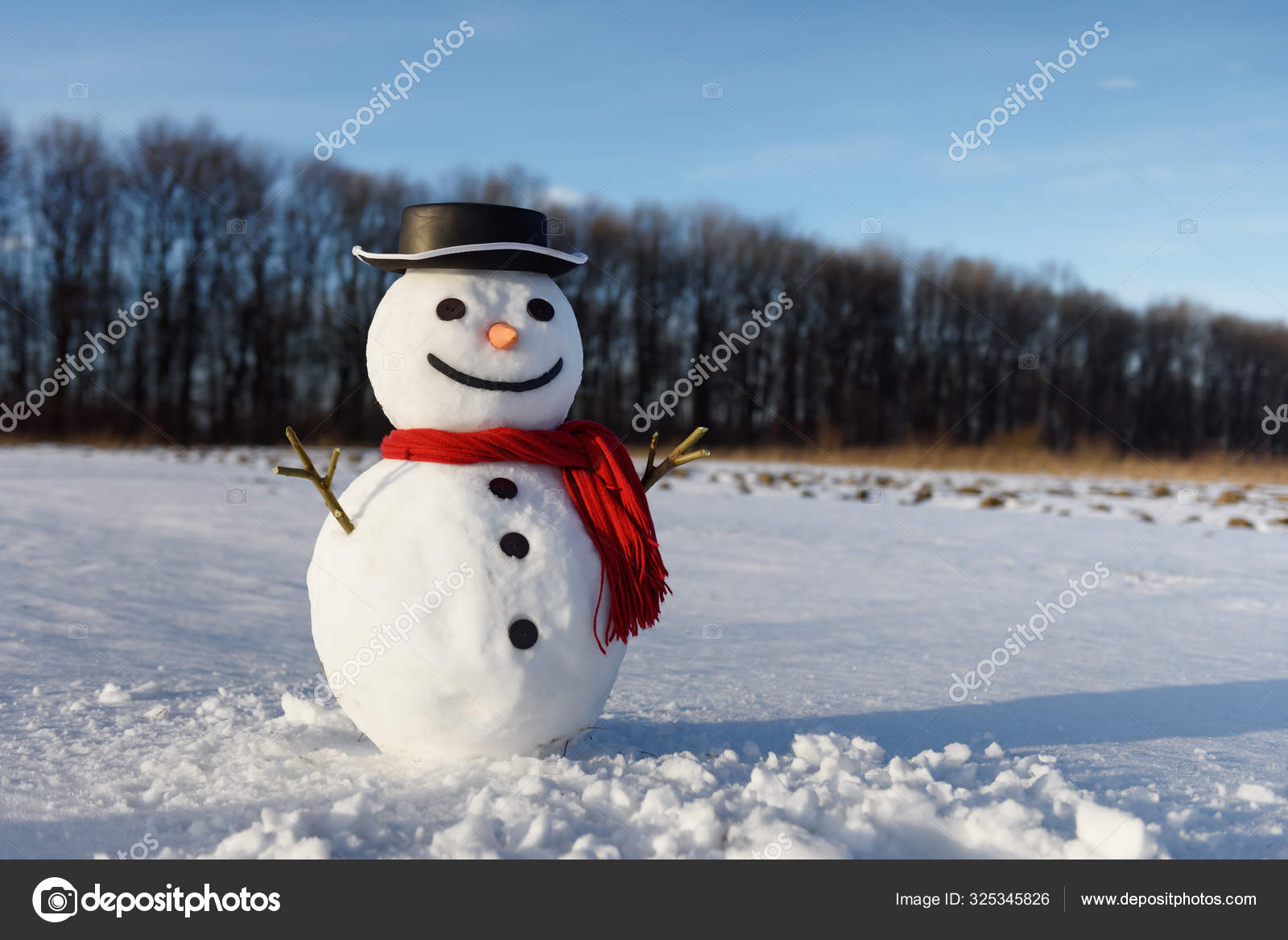 雪だるま写真素材 ロイヤリティフリー雪だるま画像 Depositphotos