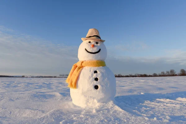 Boneco de neve engraçado em chapéu preto — Fotografia de Stock