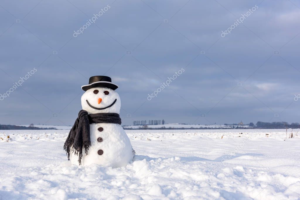 Funny snowman in black hat