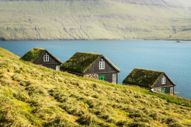 Geleneksel çim kaplı Faroe evlerinin resimli manzarası