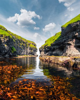 Temiz su ve kırmızı yosunlu güzel rıhtım manzarası